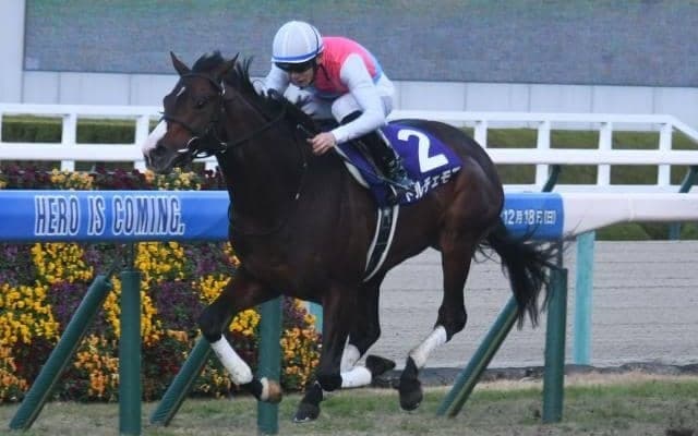 3歳マイル王決定戦のNHKマイルC GWは重賞が目白押し/今週の競馬界の見どころ