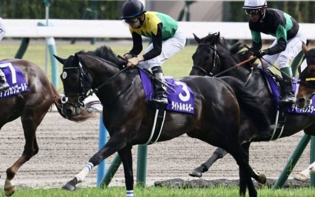 【天皇賞・春】栗田師「下り坂で（フォームが）バラけた」レース後コメント