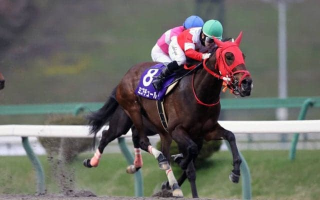 【盛岡・ダイヤモンドC】ミニアチュールが破竹の5連勝…岩手クラシック初戦