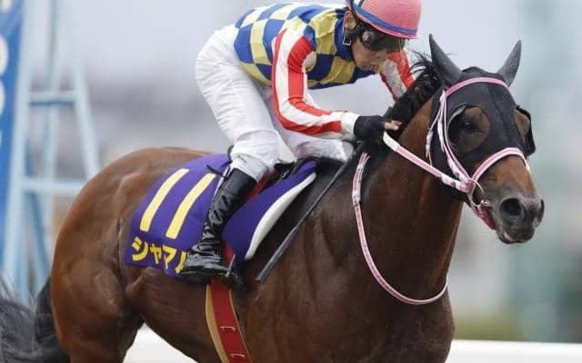 【船橋・かしわ記念枠順確定】シャマルは3枠4番、メイショウハリオは2枠2番