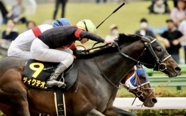 【ブリリアントS】ディクテオンがオープン初勝利
