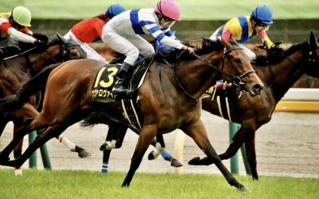 【スイートピーS】ウヴァロヴァイトがオークス切符獲得