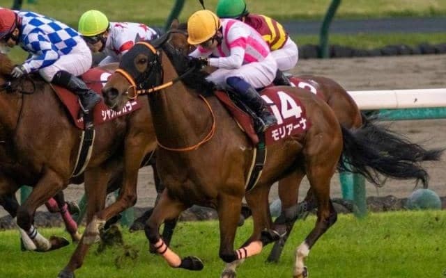 NHKマイルCは横山典弘騎手の“十八番” 3度のVに複勝率は驚異の5割超え