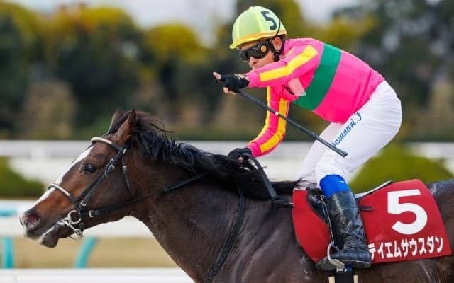 61kg背負うテイエムサウスダン＆フェブラリーS4着ドライスタウトら 2日かきつばた記念に参戦