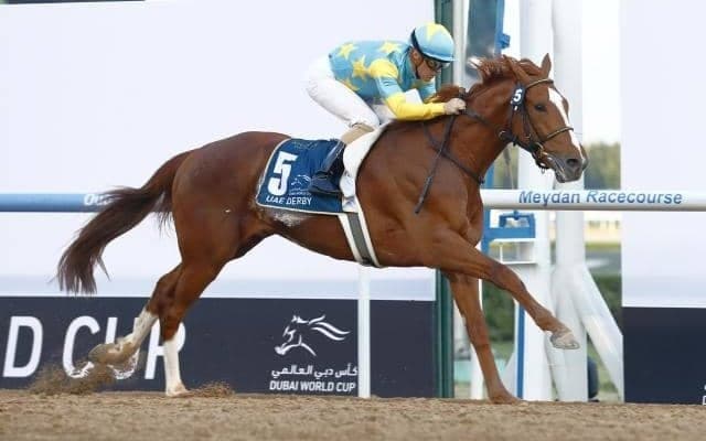 【ケンタッキーダービー枠順】デルマソトガケは17番ゲート、コンティノアールは20番ゲート