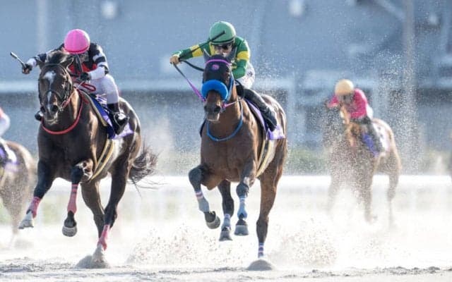 【かきつばた記念】ウィルソンテソーロが大接戦を制する