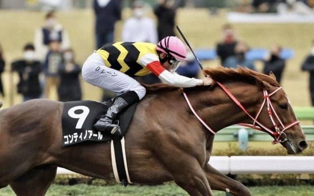 【ケンタッキーダービー】コンティノアールは20番ゲート…矢作師「良い枠ではないですね」