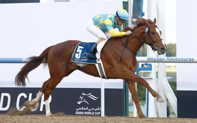 デルマソトガケが4F49.60秒のタイムで追い切り 陣営「馬は順調に競馬へ向かっている」