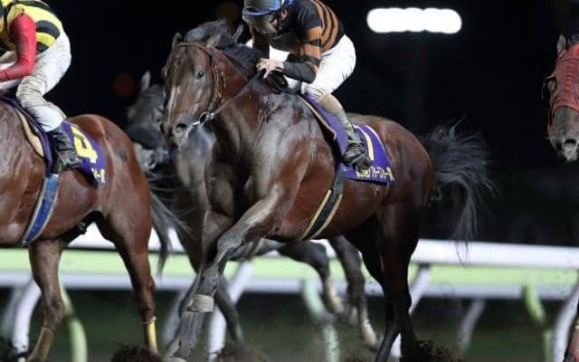 8頭全てが新種牡馬の新馬戦 シュヴァルグラン産駒らを抑えてキタサンミカヅキ産駒が初白星