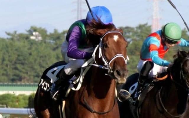 【新潟大賞典】28年ぶり5頭目の牝馬Vなるか 紅一点のアイコンテーラーに注目だ