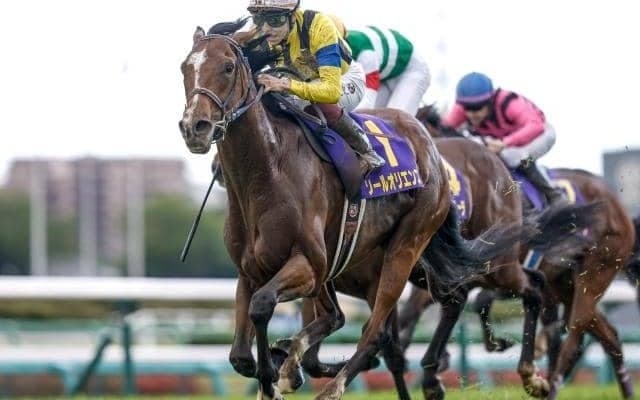 日本ダービー想定馬の収得賞金一覧 現時点のボーダーは1600万円のシャザーン＆マイネルラウレア