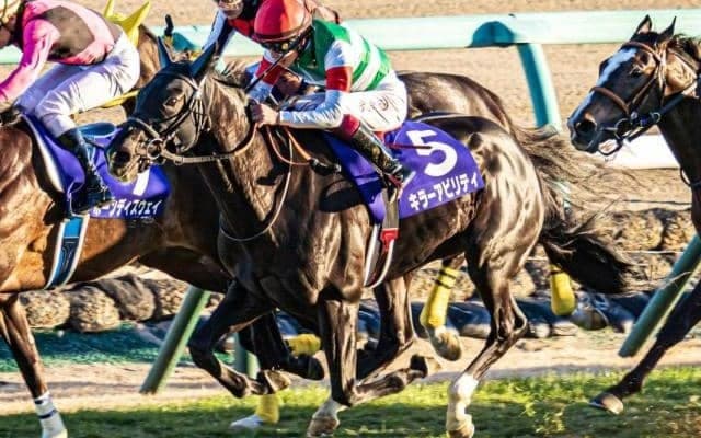 トップハンデのキラーアビリティは酷量克服なるか 新潟大賞典でデータを覆す