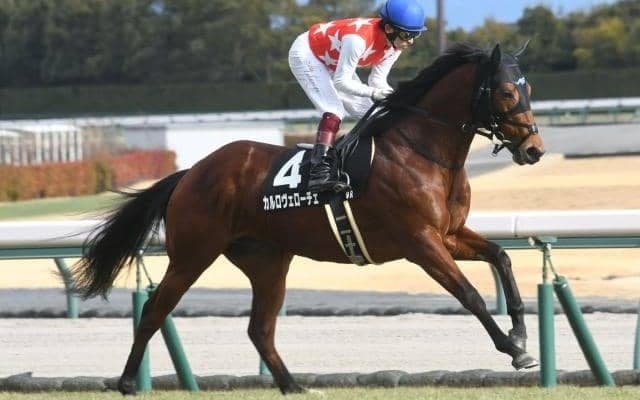 【NHKマイルC予想】AI注目馬をオッズ次第で連軸に レース傾向からも魅力十分！