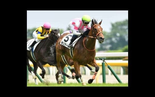 NHKマイルＣは1600ｍに強い「エピファネイア産駒の牝馬」が狙い もう１頭は「母系にアンブライドルド」の血を持つ名門牝系