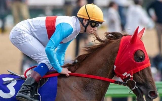 【かしわ記念注目馬】豪華メンバー集った春のダートマイル王決定戦