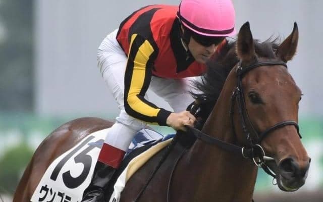 7年連続で連対中 NHKマイルCは6月デビュー組に要注意