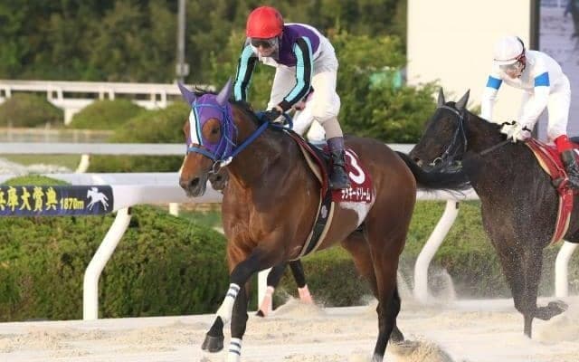 【園田・兵庫大賞典結果】ラッキードリームが人気に応えて重賞8勝目