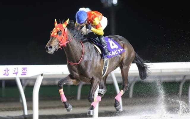 【門別・北斗盃結果】ベルピットが単勝1.1倍の支持に応えて7馬身差圧勝