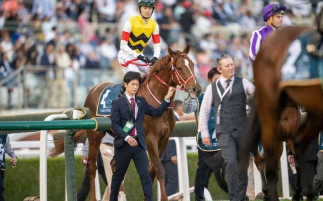 【ケンタッキーダービー】コンティノアール・坂井瑠星騎手「想像以上に（馬場は）硬い」
