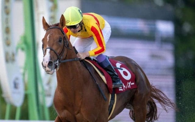 【兵庫CS】武豊 ミトノオーが6馬身差の圧勝！圧巻の逃走劇を演じる