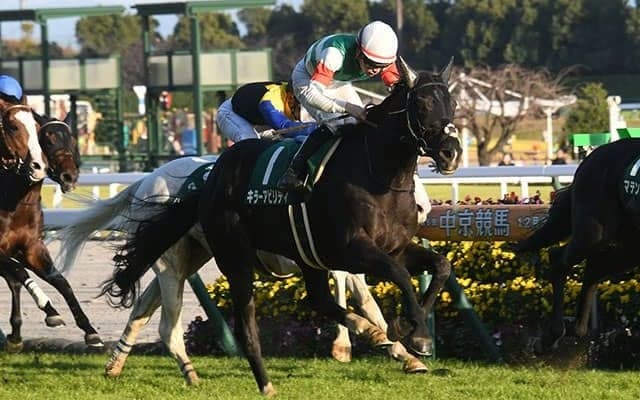 【新潟大賞典枠順確定】スパイダーゴールドは8枠15番、キラーアビリティは5枠10番