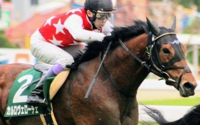 NHKマイルCでディープ系牡馬が芝道悪GI初勝利なるか エエヤンなど有力馬4頭が挑戦