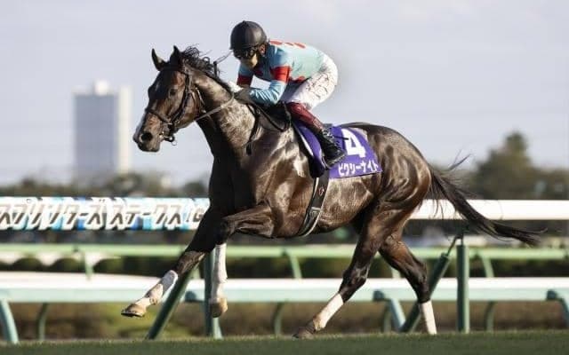 【京王杯SC想定】ピクシーナイトやトゥラヴェスーラなど20頭