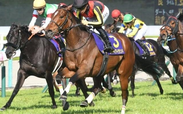 【オークス想定】リバティアイランドやコナコーストなど16頭