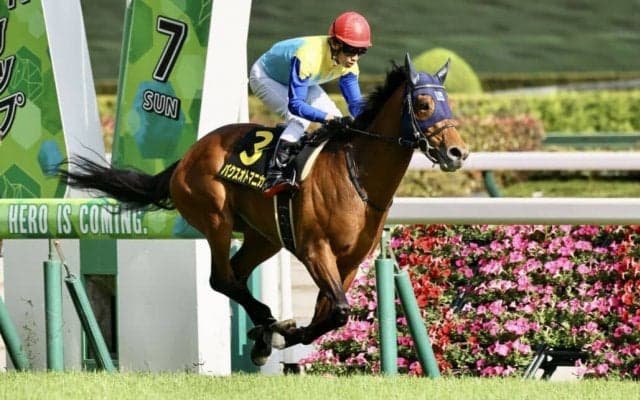 【プリンシパルS】パクスオトマニカがダービーへの切符を獲得