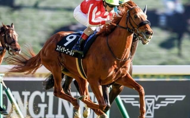 【新潟大賞典前日オッズ】スパイダーゴールドが4.4倍で1番人気