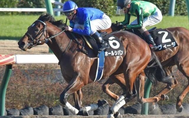 ホールシバンの競走中止、オラコモエスタスの予後不良など 6日の出来事一覧/新潟・東京・京都