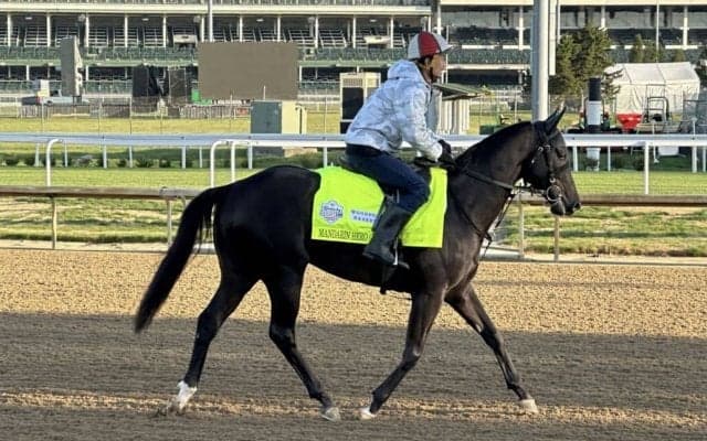 【ケンタッキーダービー】藤田師「待ったかいがあった」マンダリンヒーロー出走叶う