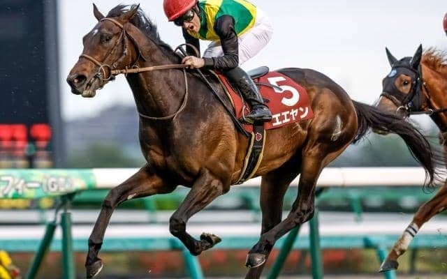 【今日の注目ポイント】東京で3歳マイル王決定戦のNHKマイルC、ハンデGIII新潟大賞典