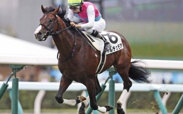 【NHKマイルC予想】距離適性を重視したい3歳マイル王決定戦