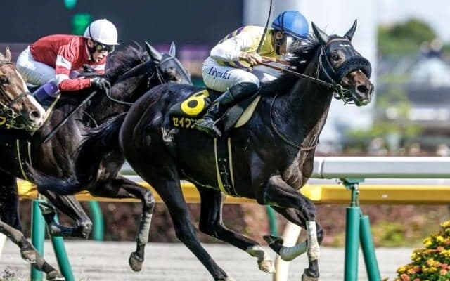 【新潟大賞典予想】過去10年で1・2番人気が0勝 トップハンデ馬も不調で波乱必至な一戦