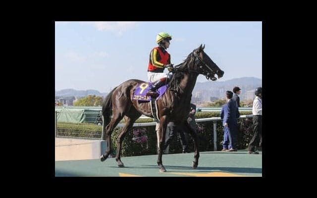 コナコーストの陣営はオークスに向けて強気な姿勢「2400ｍのタフなレースがプラスになる」