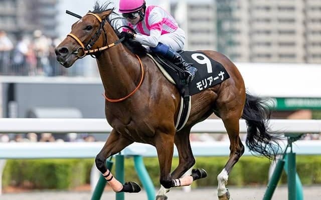 【NHKマイルC予想】人気薄が激走しやすい荒れGIの注意点は？ カギとなりそうな「馬番・血統・前走・鞍上」