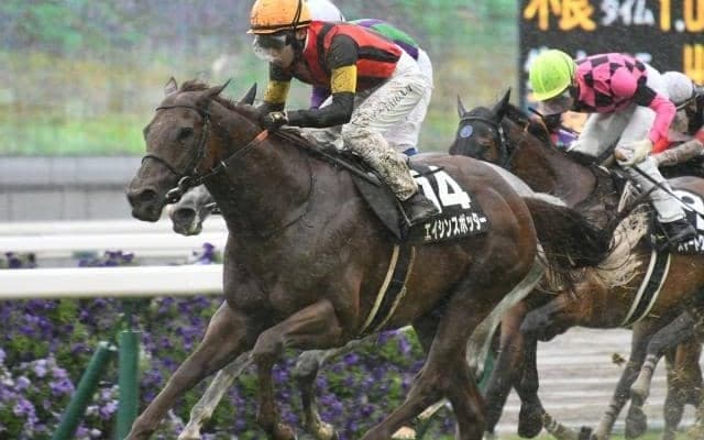 【鞍馬S結果】エイシンスポッターが馬群を割って追い込みオープン初V