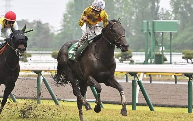 【新潟大賞典結果】59kgのハンデも何のその、カラテが差し切って重賞3勝目