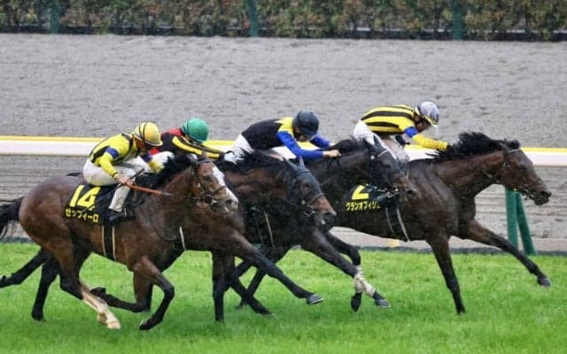 【メトロポリタンS】大激戦のゴール前！4頭横並びの接戦をグランオフィシエが制する