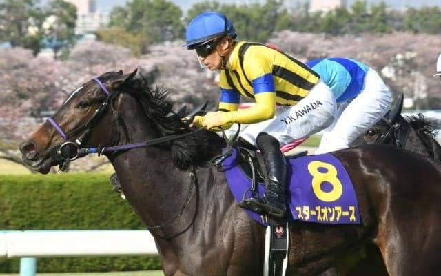 ヴィクトリアマイルでスターズオンアースら豪華メンバー激突/今週の競馬界の見どころ