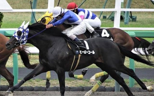 【羽田盃枠順】南関東の牡馬クラシックが開幕 ヒーローコールは4枠8番