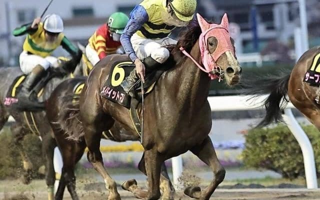 【東京プリンセス賞枠順】南関東の3歳女王決定戦 二冠狙うメイドイットマムは1枠1番
