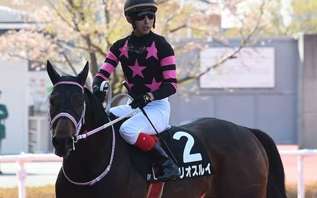 【京都ハイJ想定騎手】テリオスルイは中村将之騎手 ビーマイオーシャンは小牧加矢太騎手