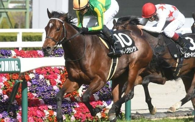 サトノダイヤモンド産駒が重賞初制覇 ダービーでも好枠引けばチャンスあり