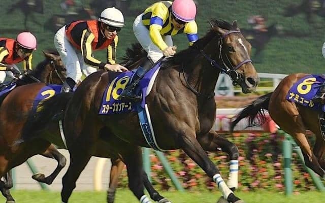 【ヴィクトリアM想定騎手】スターズオンアースはC.ルメール騎手、ソダシはD.レーン騎手