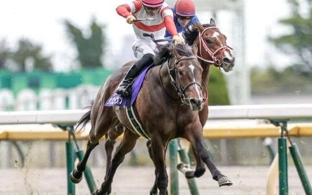 【京王杯SC想定騎手】ダノンスコーピオンは川田将雅騎手、ピクシーナイトは戸崎圭太騎手