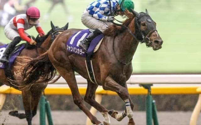 成長力富むドゥラメンテ産駒 NHKマイルCだけでなく先の活躍も期待