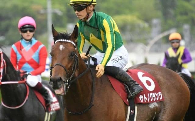 日本ダービー出走へは収得賞金1600万円がボーダー 2頭が抽選対象に