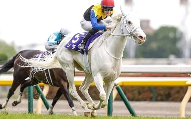 クロフネ産駒が歴代1位タイの19年連続JRA重賞制覇へ ヴィクトリアMにソダシ参戦